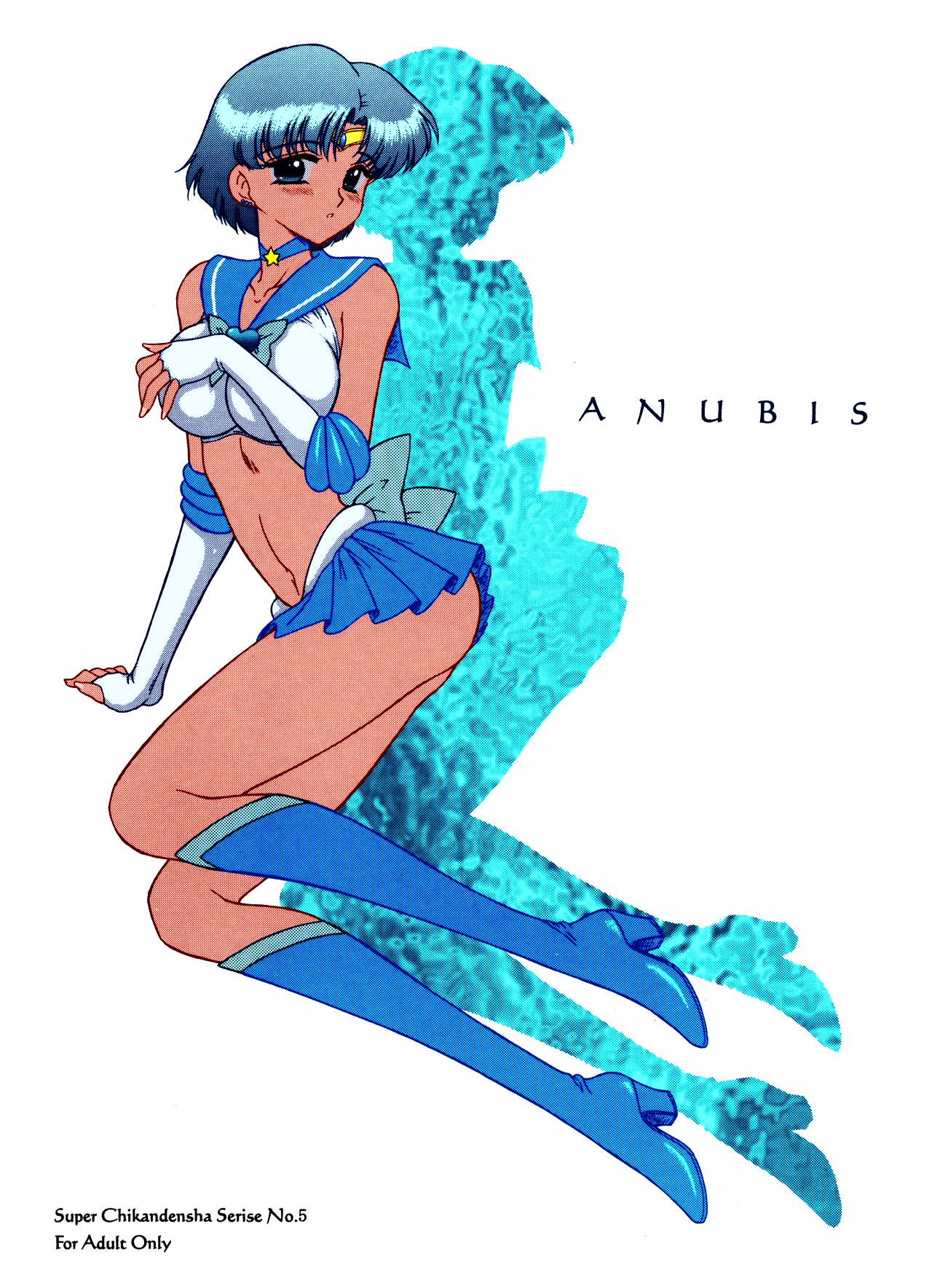 (Cレヴォ31) [Black Dog (黒犬獣)] ANUBIS (美少女戦士セーラームーン) [英訳] [カラー化]