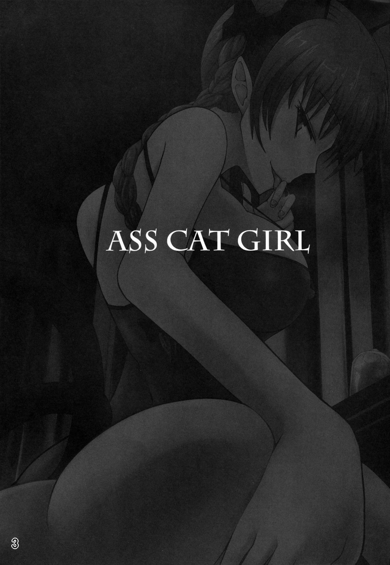 (紅楼夢10) [サジタリウス (ショーン)] ASS CAT GIRL (東方Project) [中国翻訳]