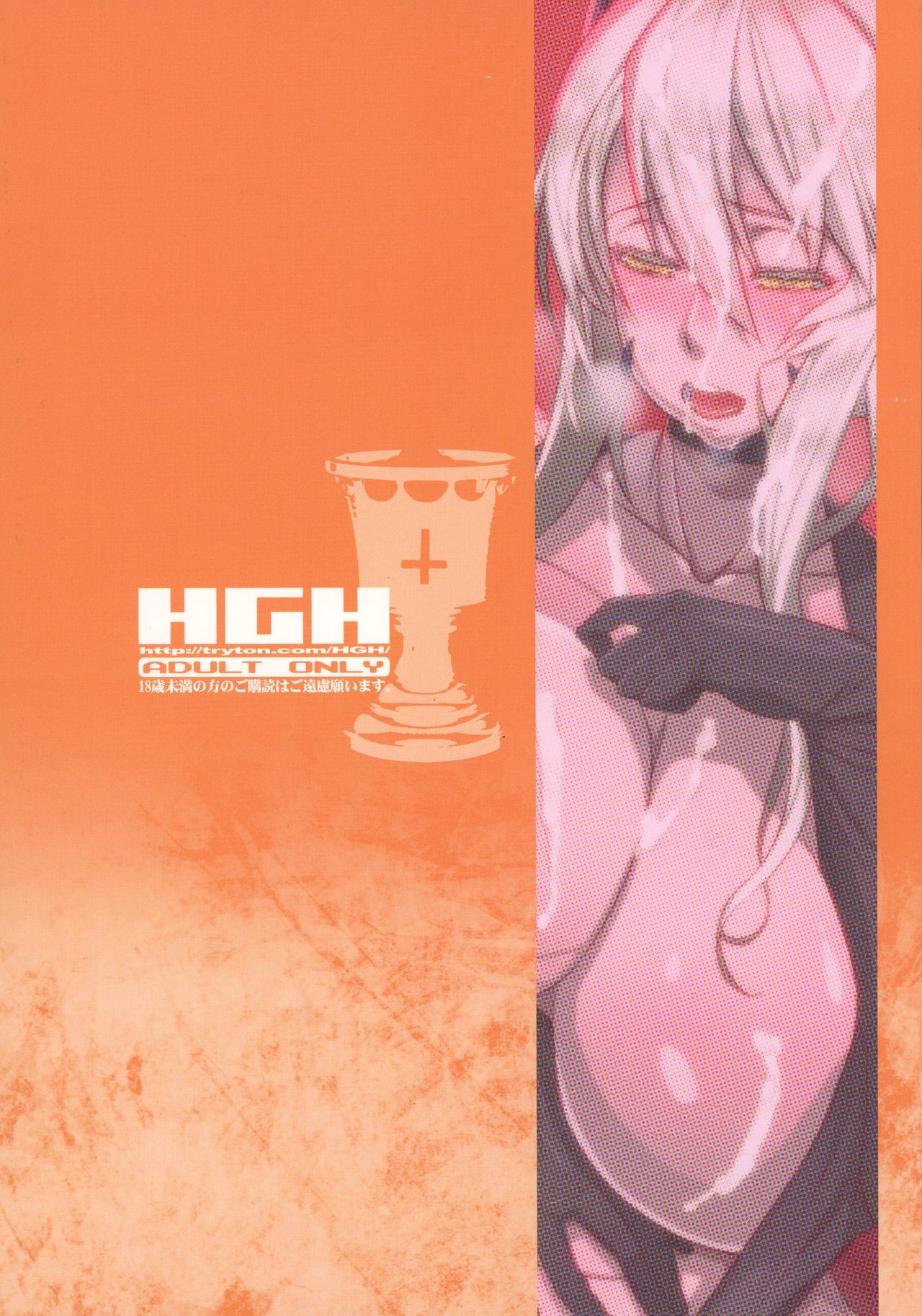 (C92) [HGH (HG茶川)] HGUC#10 僕のアルトリアを紹介する本 (Fate/Grand Order)