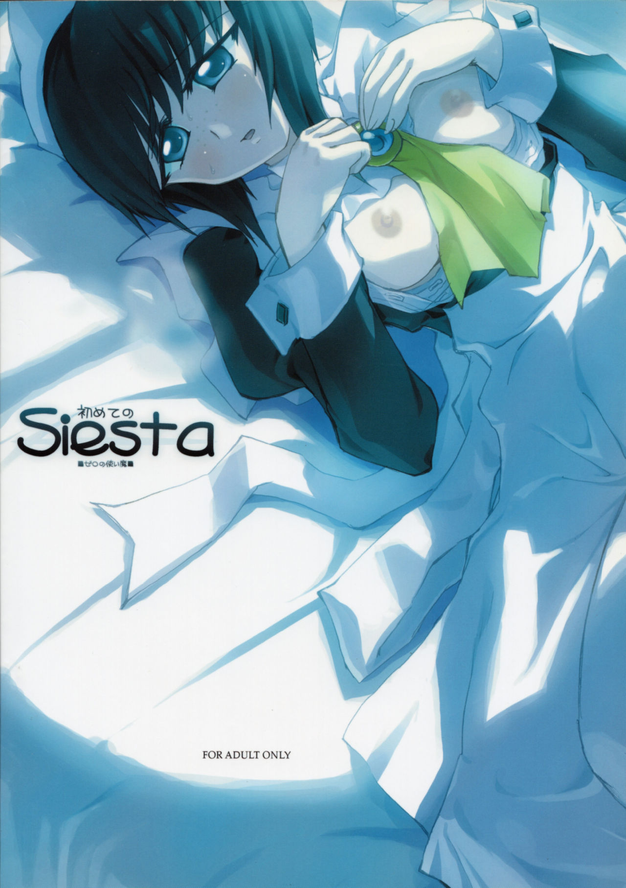 (C71) [FLAT&SLIT RACING 66 (66-夢王)] 初めてのSiesta (ゼロの使い魔)