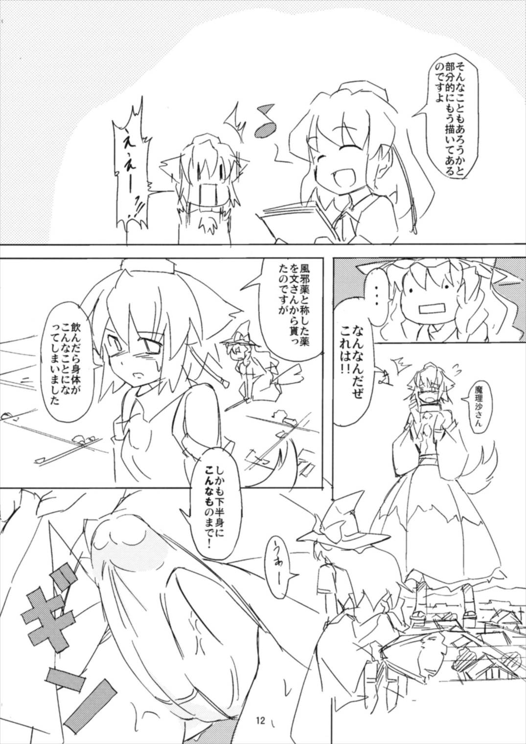 (例大祭14) [TEDDY-PLAZA (瀬尾辰也)] 射命丸教授の比率的愛情 (東方Project)