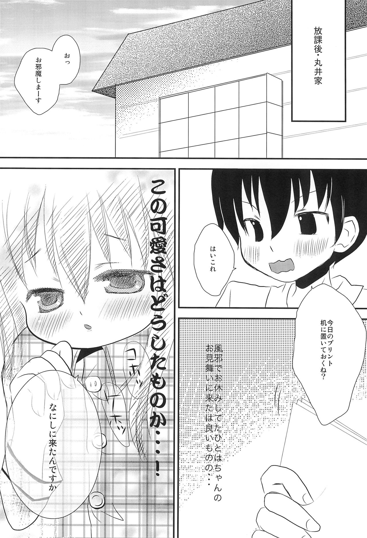 (C79) [たまや (たま助)] きれいなひとは (みつどもえ)