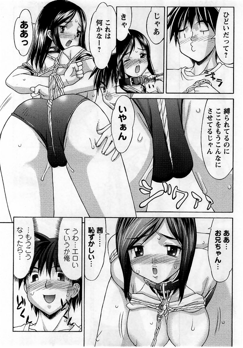 コミック・マショウ 2005年11月号
