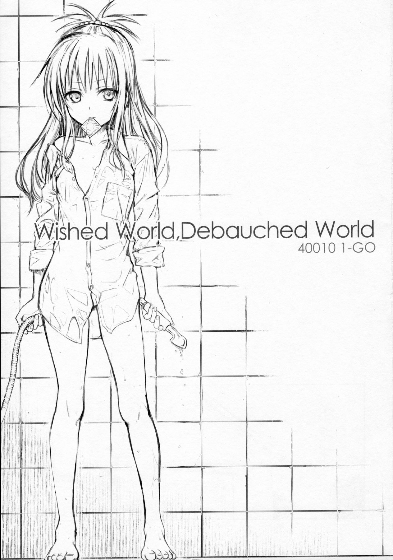 (C91) [40010壱号 (40010試作型)] Wished World,Debauched World (To LOVEる -とらぶる-) [中国翻訳]