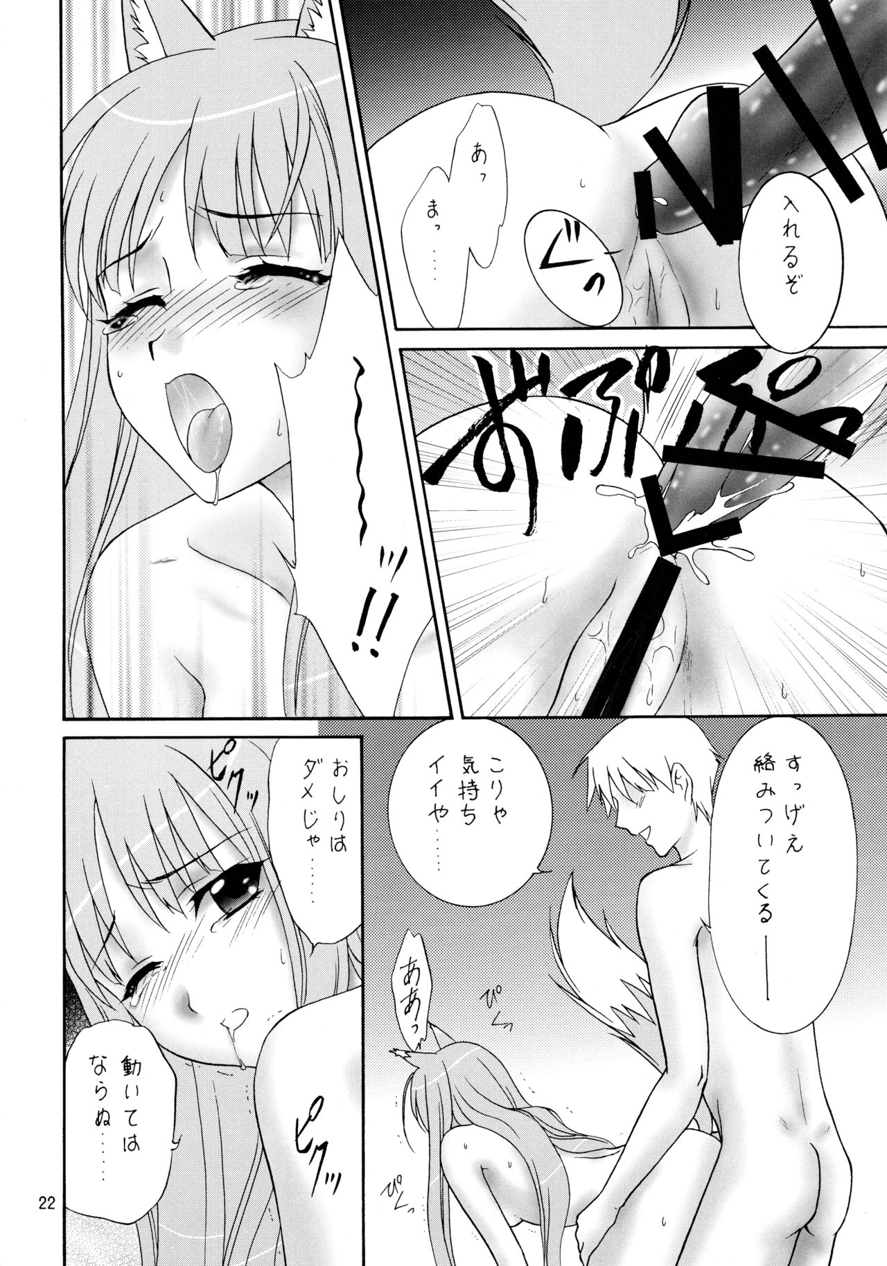 (COMIC1☆2) [あーもんど共和国 (藍海松茶)] 狼のフルコース (狼と香辛料)