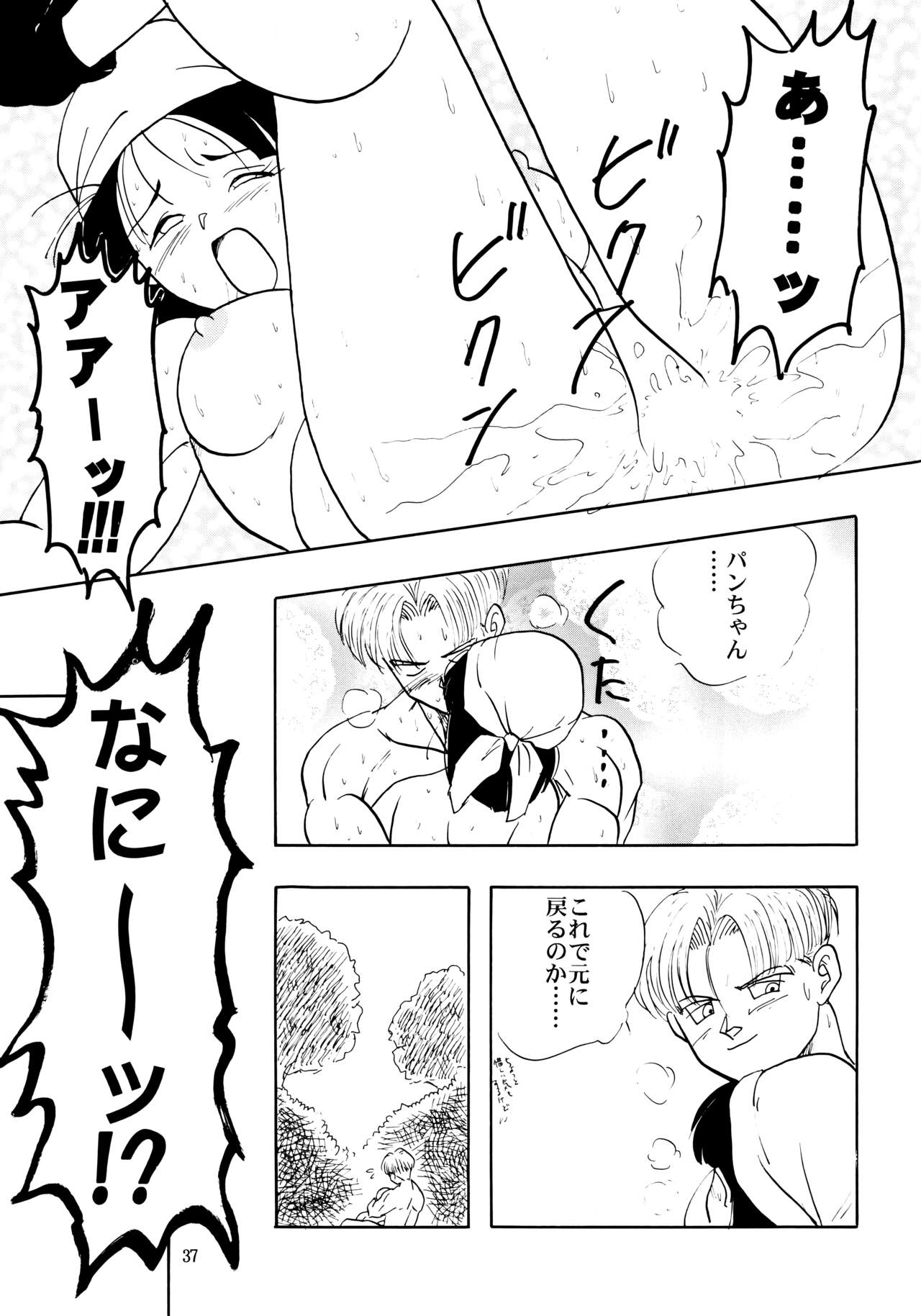 (C50) [ちり紙小屋、ふすま御殿 (障子張子、栗)] ZZ (ドラゴンボールGT)