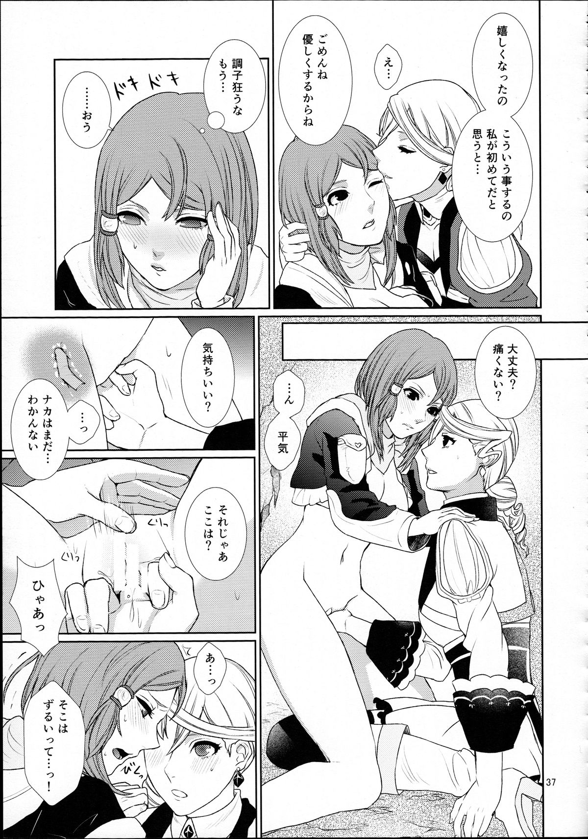 (C89) [3egg (めりこ)] 先入知識と接受 (テイルズオブゼスティリア)