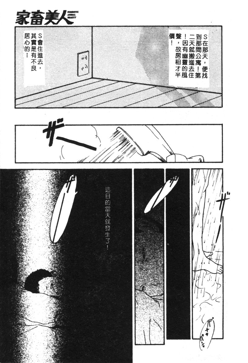 [アンソロジー] 家畜美人 巻の五 [中国翻訳]