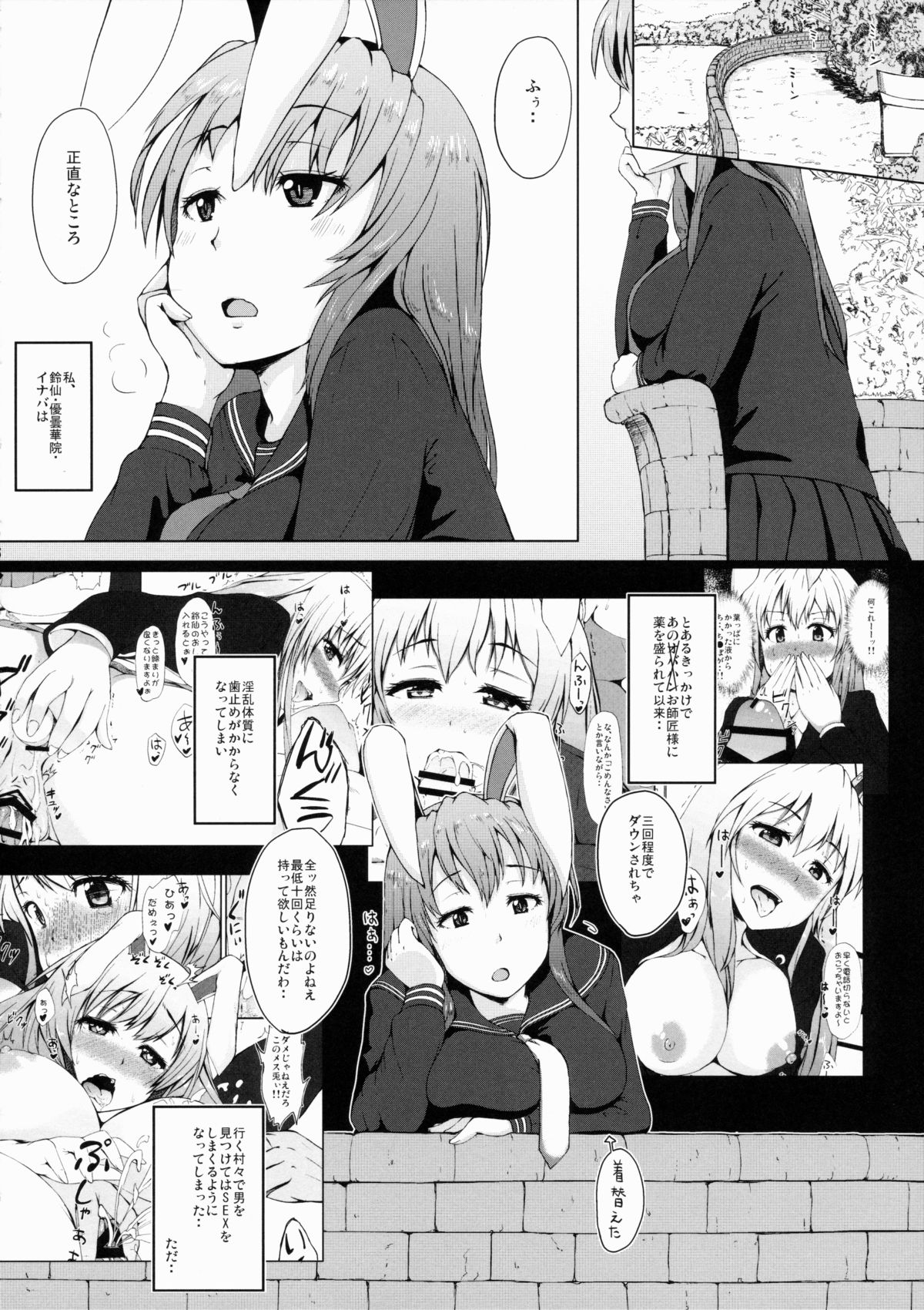 (C88) [田舎の野菜屋 (はぶらえる)] 兎のたね (東方Project)