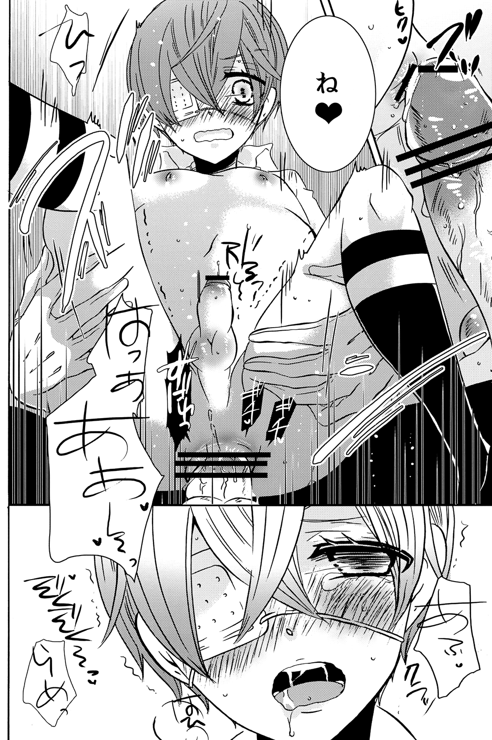 (C82) [くろまめぱっく (クロマメ)] Loving Bird (黒執事)