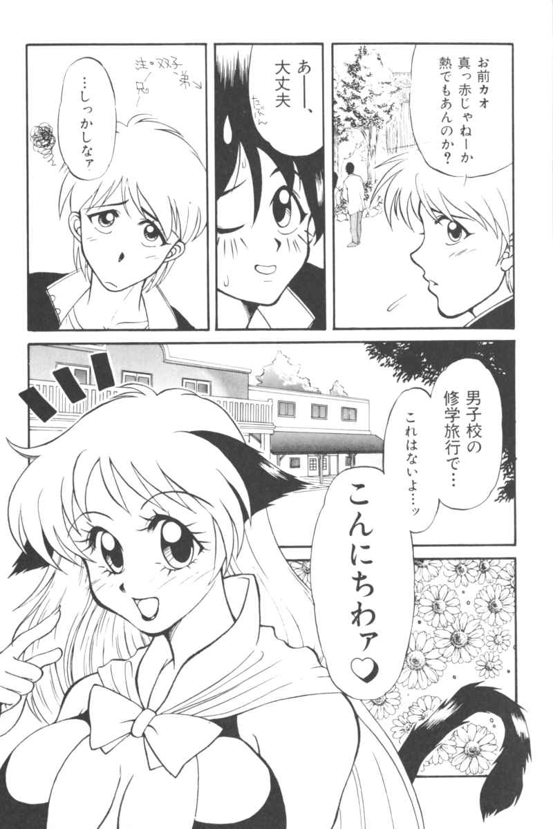[アンソロジー] いんぷっと Vol.3 テーマパーク編