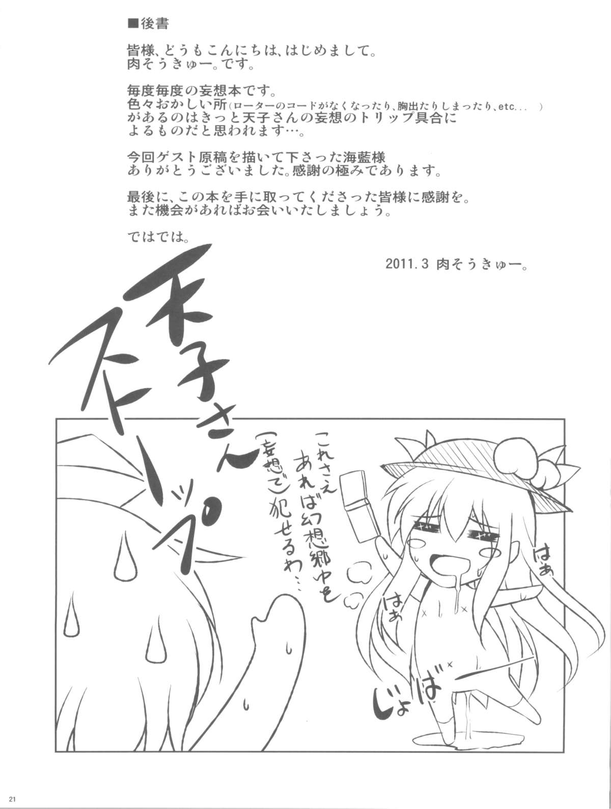 (例大祭8) [何処までも蒼い空に浮かぶ肉。 (肉そうきゅー。)] 妄想念報 (東方Project)