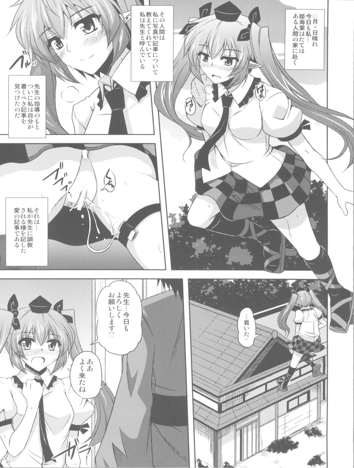 (例大祭8) [何処までも蒼い空に浮かぶ肉。 (肉そうきゅー。)] 妄想念報 (東方Project)