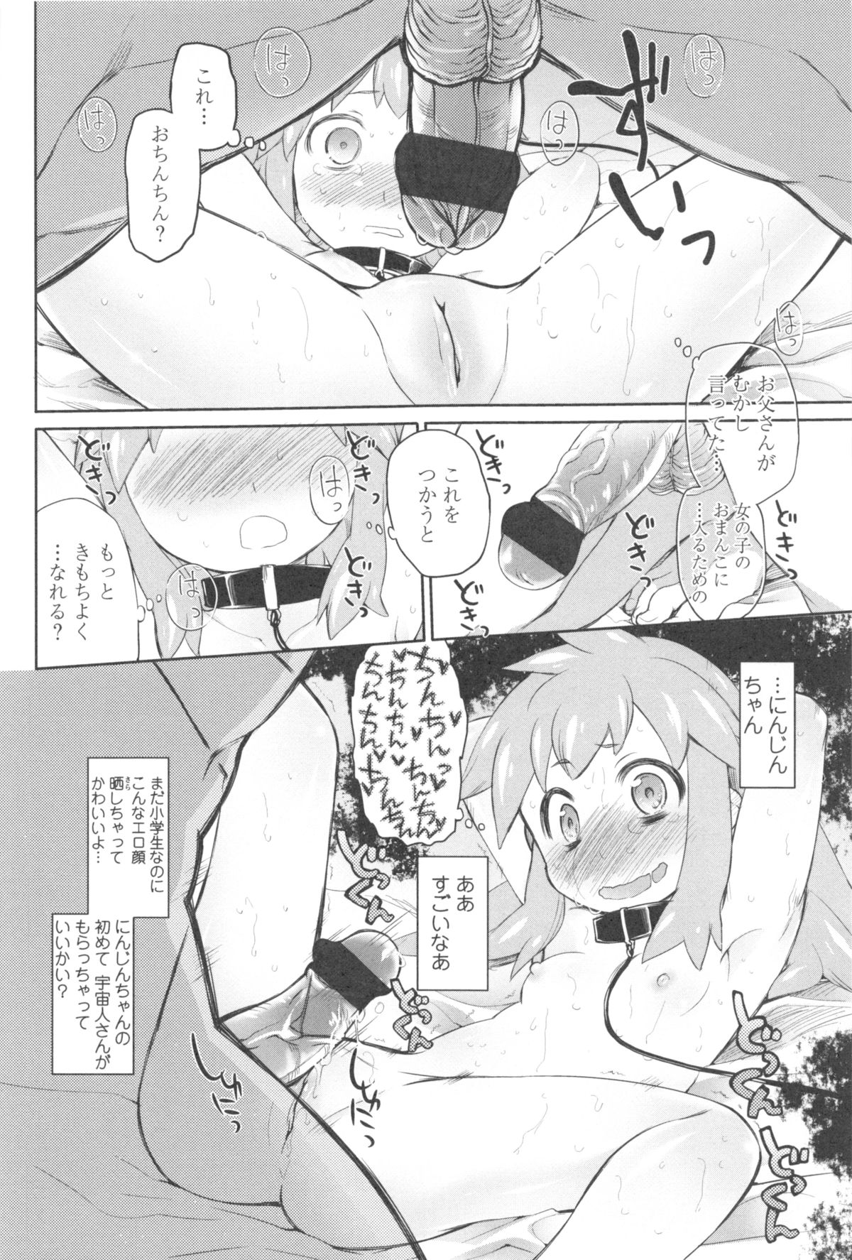 [緑のルーペ] ガーデン II + メロンブックス特典小冊子8P