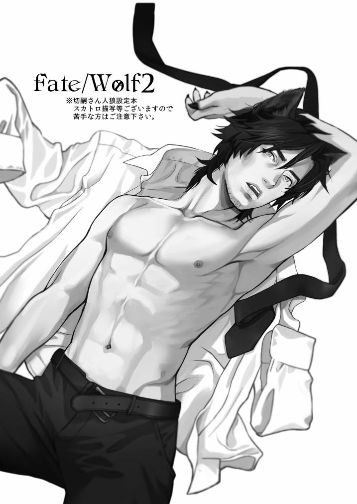 (SPARK8) [めっちょり (みつる)] fate/wolf2 (Fate/Zero)