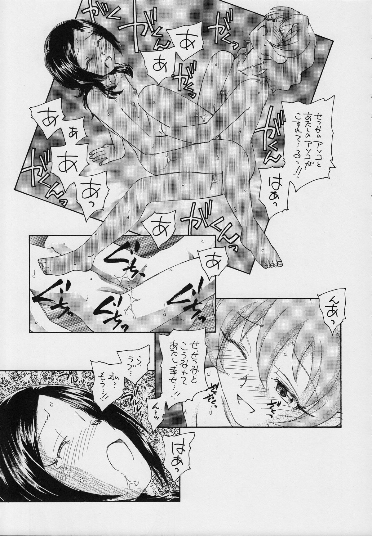 (C76) [黒鹿亭 (海野螢)] せつなの二つの顔 (フレッシュプリキュア!)