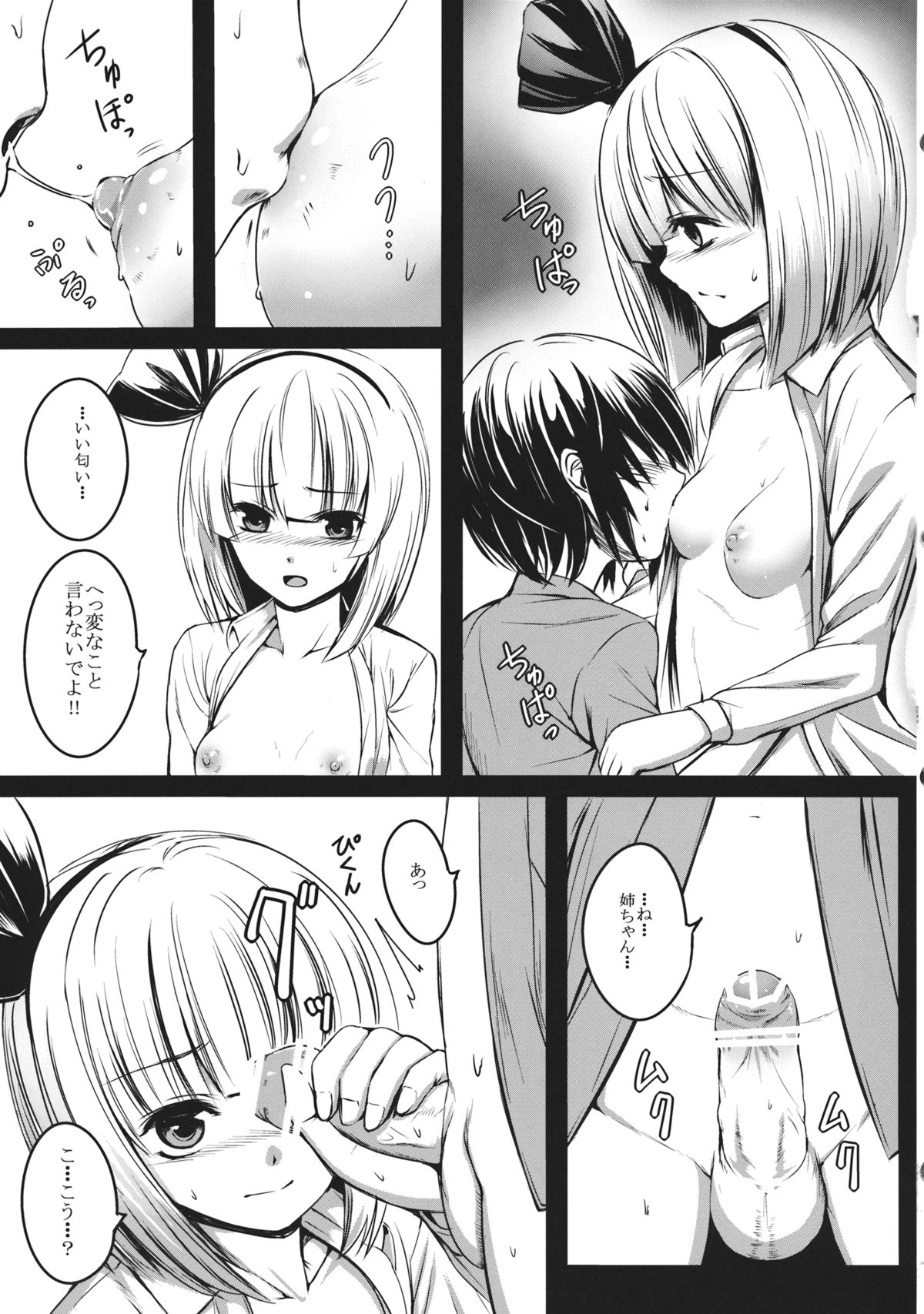 (例大祭10) [スサノアラシ (竹森真太郎)] 妖夢姉ちゃんが頑張る話。 (東方Project)