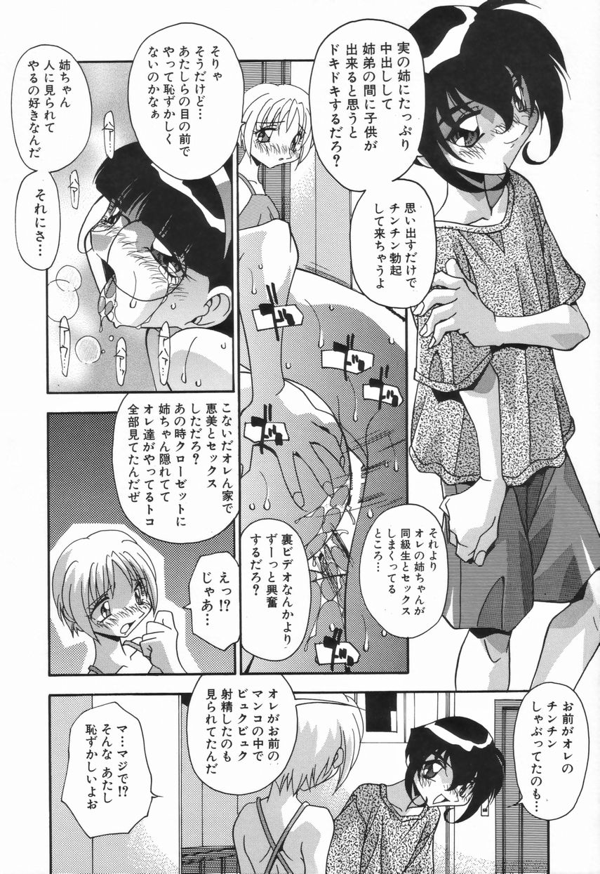 [ひんでんブルグ] 兄妹の肉私刑