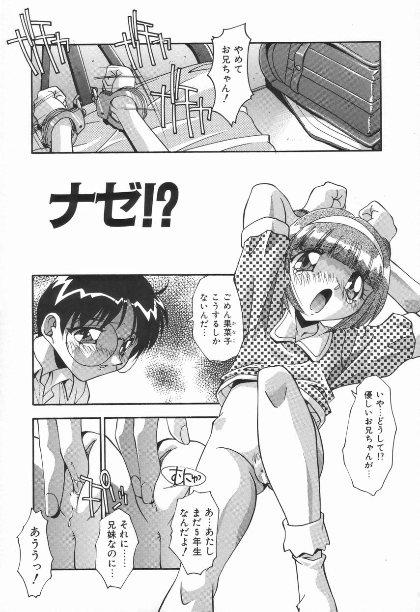 [ひんでんブルグ] 兄妹の肉私刑