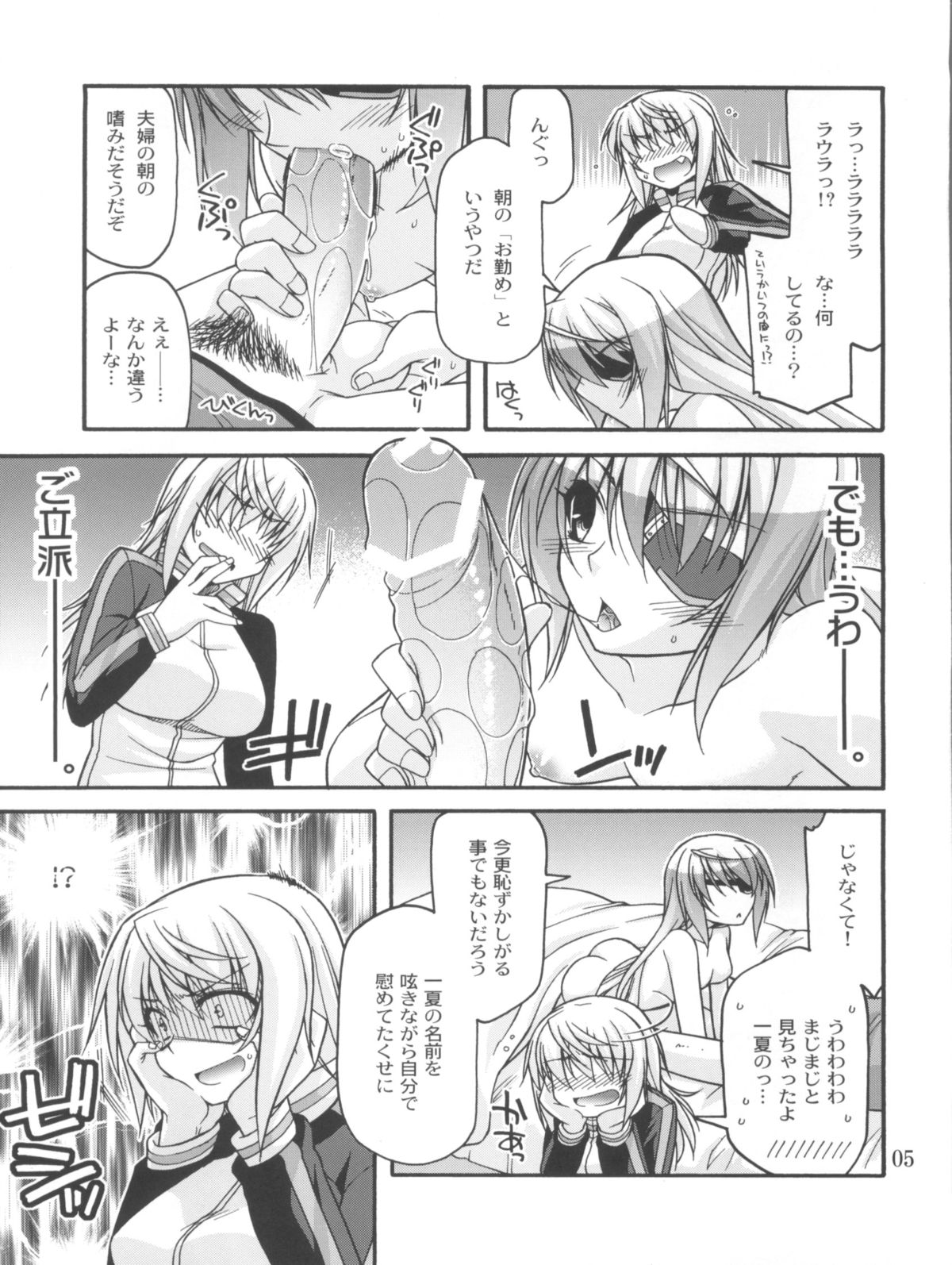 (COMIC1☆5) [CRIMSON GROUND (宮社惣恭)] Schwarzer Rafale (IS＜インフィニット・ストラトス＞)