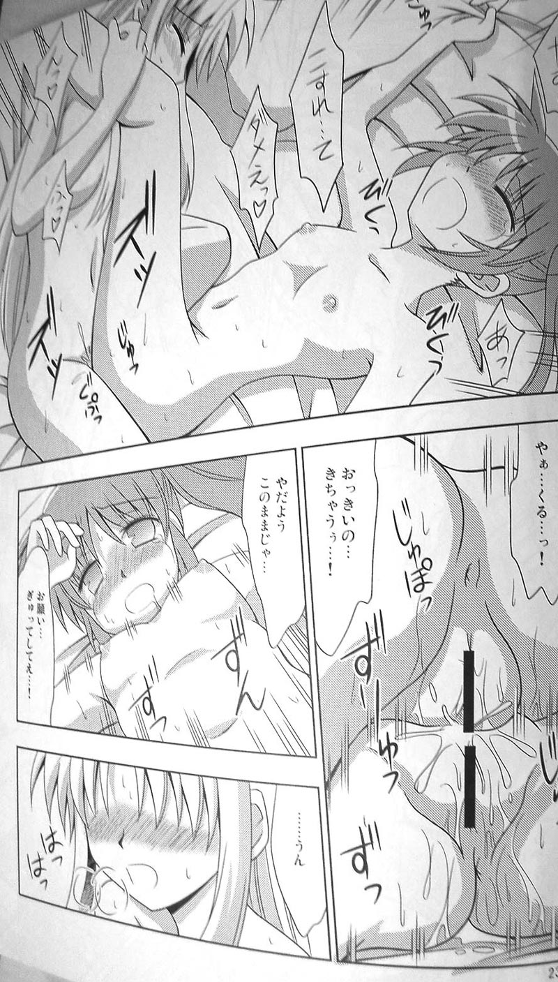 (C77) [サガマニ。 (佐上犬丸)] 夜が明けるまで (魔法少女リリカルなのは)