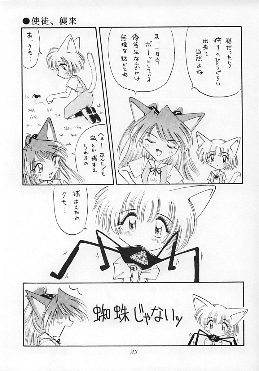 (C51) [猫耳魔術團 (まさみねこ)] えばねこ (新世紀エヴァンゲリオン)