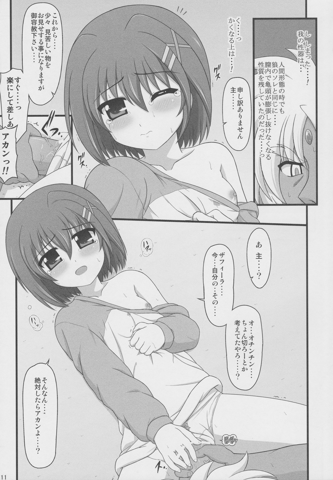 (C83) [朽木ノ洞 (エンマコオロギ)] 夜天ノ犬長夜 (魔法少女リリカルなのは)