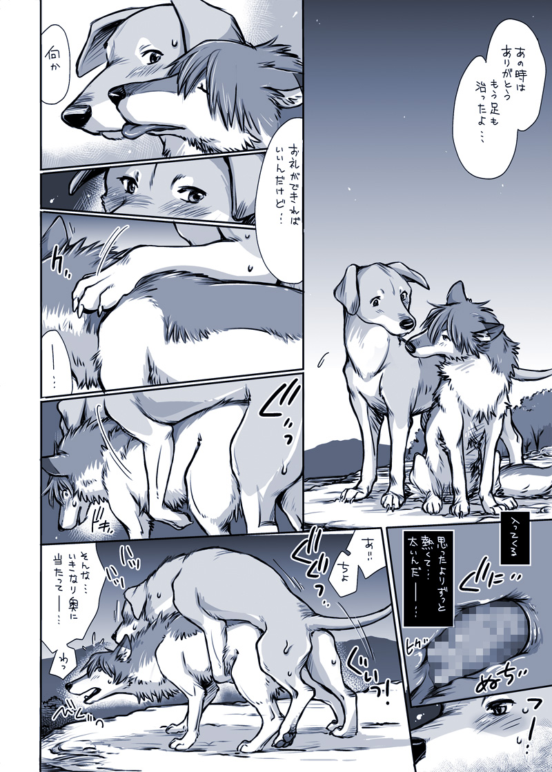 [倉子倉次] 或る犬の場合 (おおかみこどもの雨と雪)