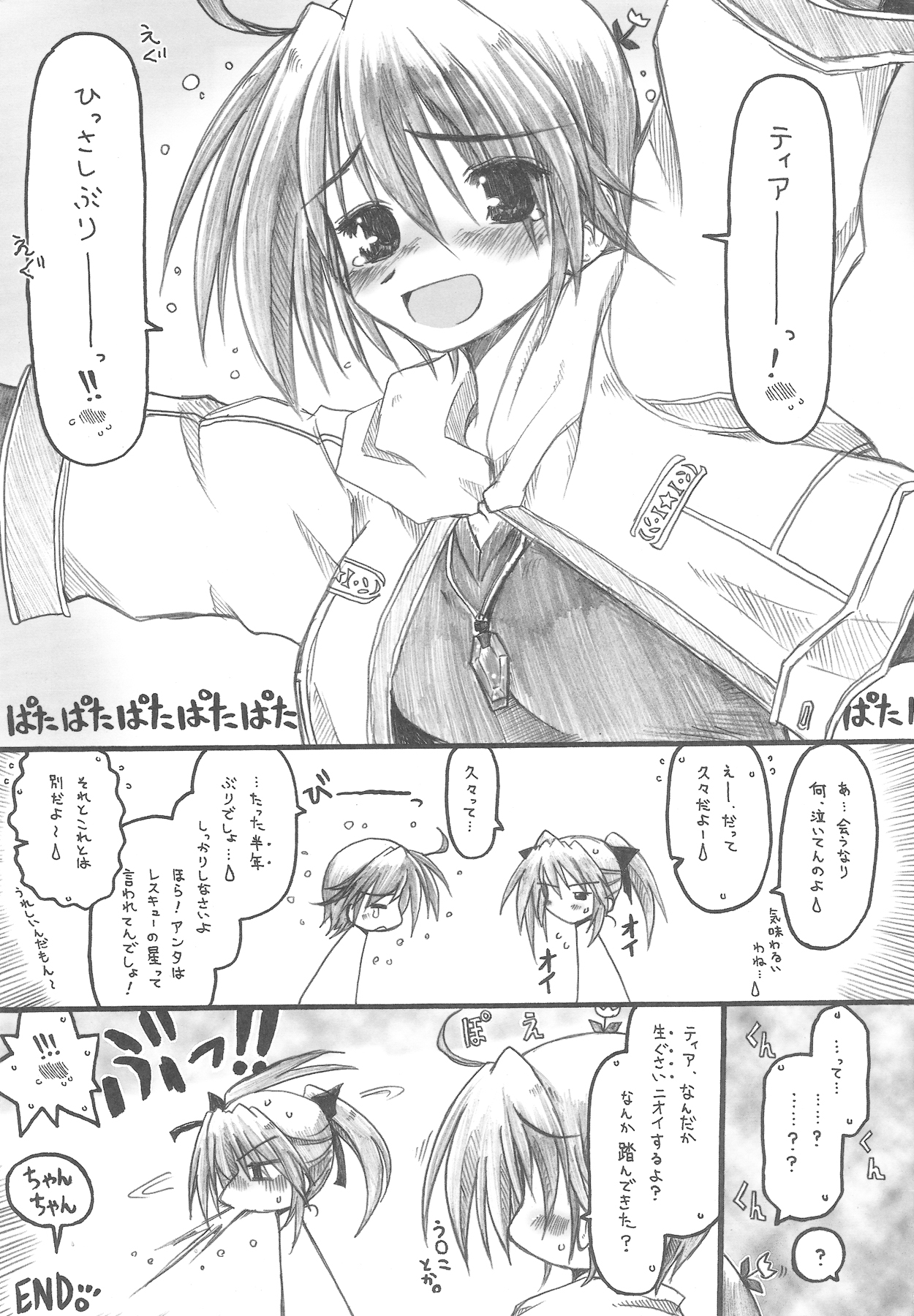 (COMIC1☆2) [暗黒暴走組 (アイヌマニア)] MIRAGE MIND (魔法少女リリカルなのは)