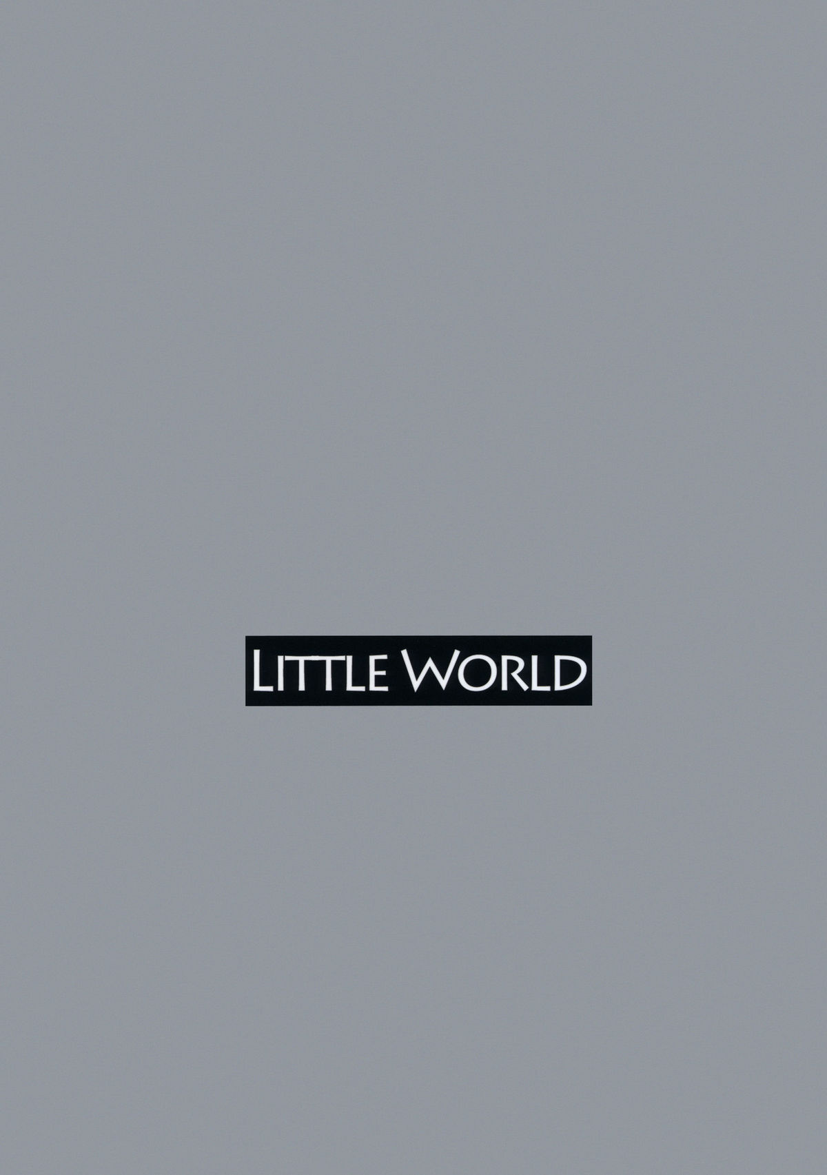 (COMIC1☆6) [こりすや (こりす)] LITTLE WORLD