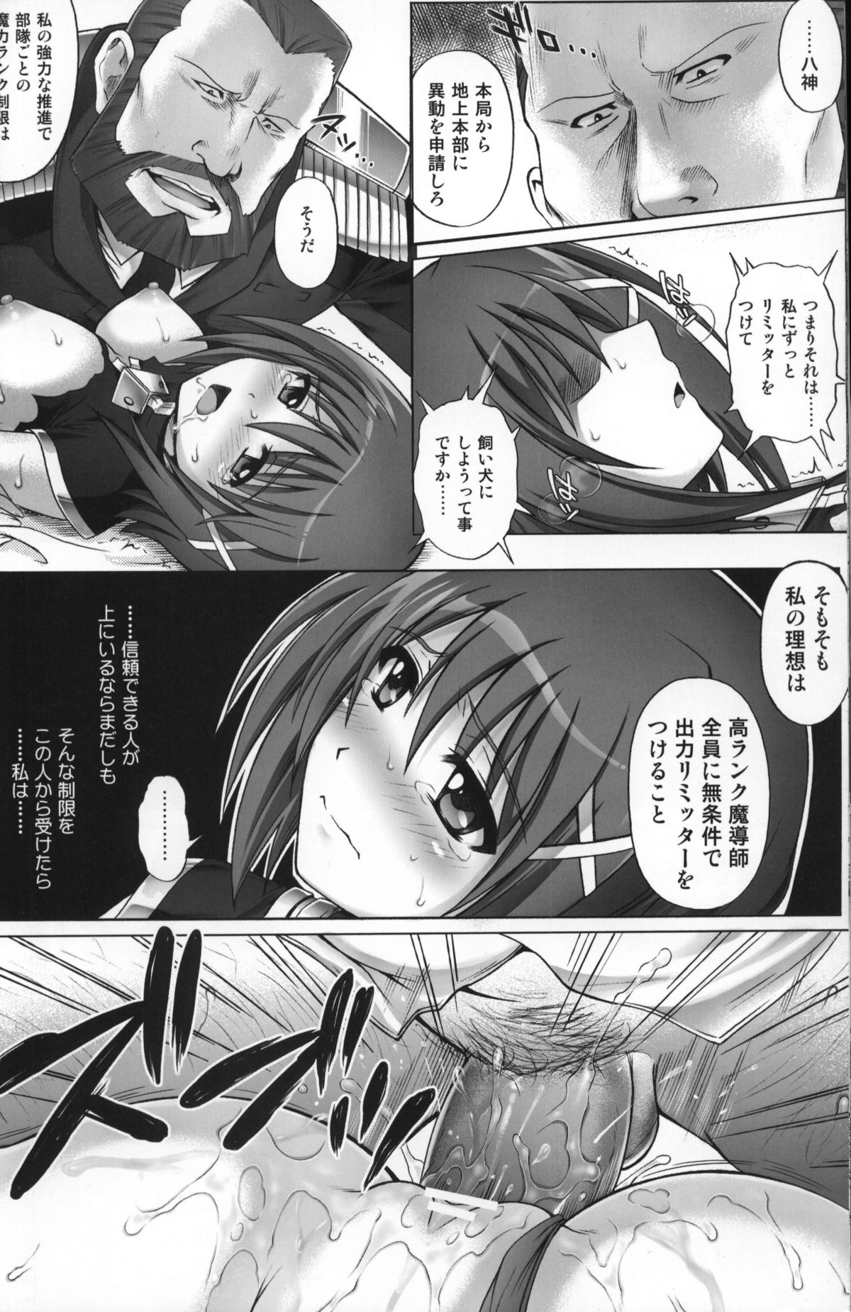 (COMIC1☆6) [サイクロン (和泉, れいぜい)] T-07 HAYATEN 2nd (魔法少女リリカルなのは)