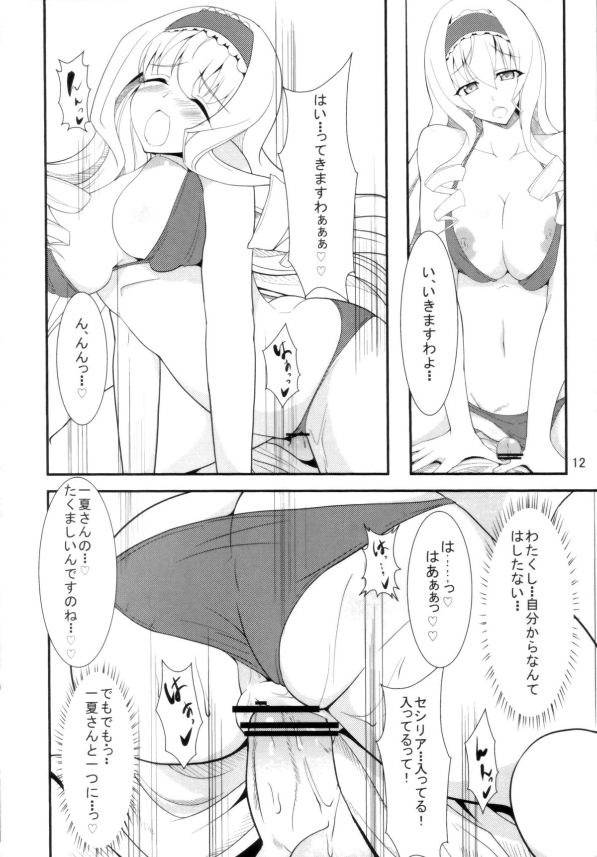 (COMIC1☆5) [Time-Leap (すいらんあお)] IS -イマジネーション・スペシャリスト- (IS＜インフィニットストラトス＞)