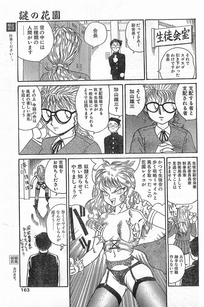 COMIC パピポ外伝 1996年04月号 Vol.21