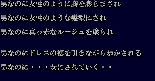 [女人化研究所] 恥辱女装の夜