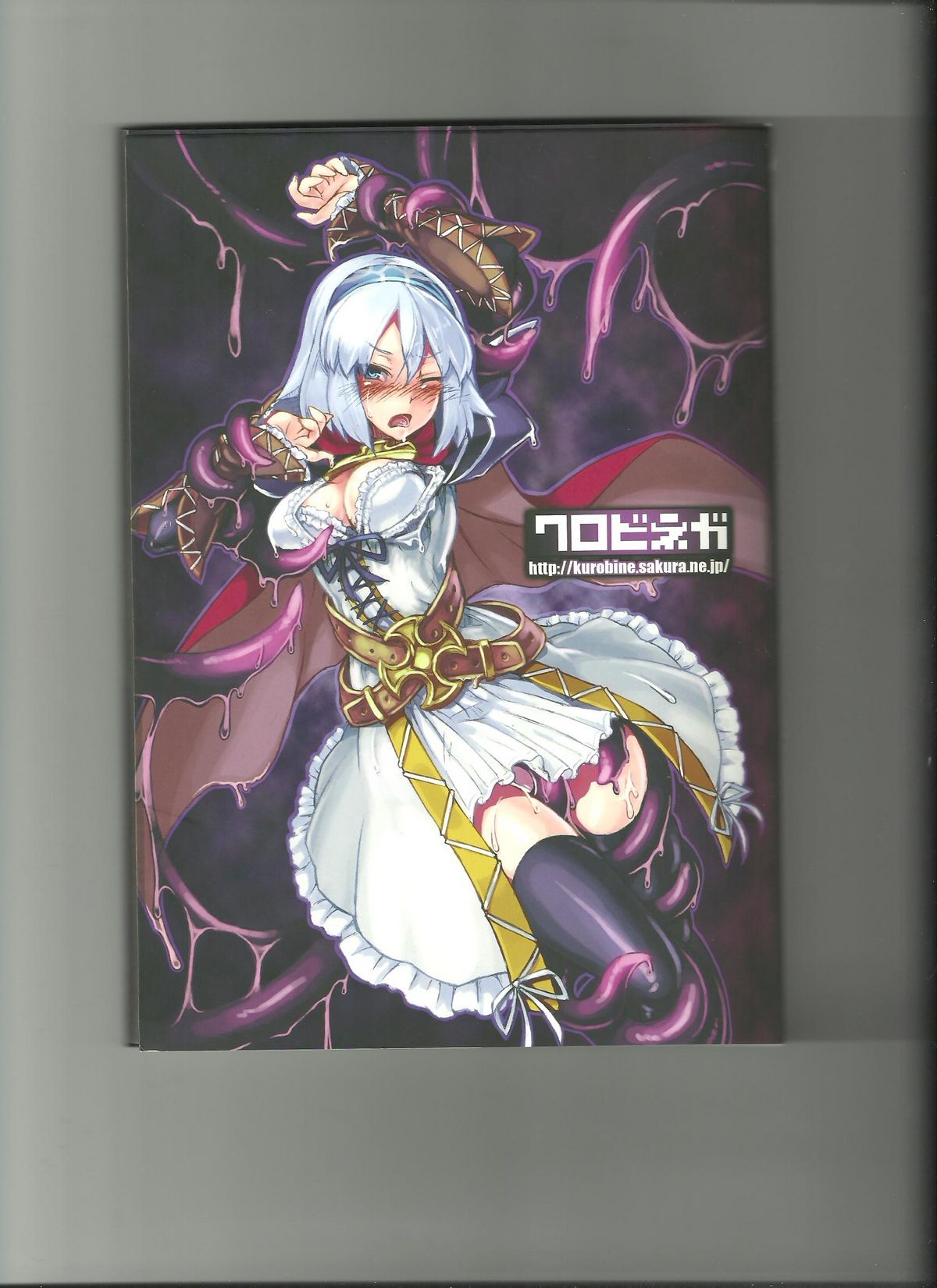 (C80) [クロビネガ (健康クロス)] Monster Girl Encyclopedia World Guide I ～堕落の乙女達～ -Fallen Maidens-