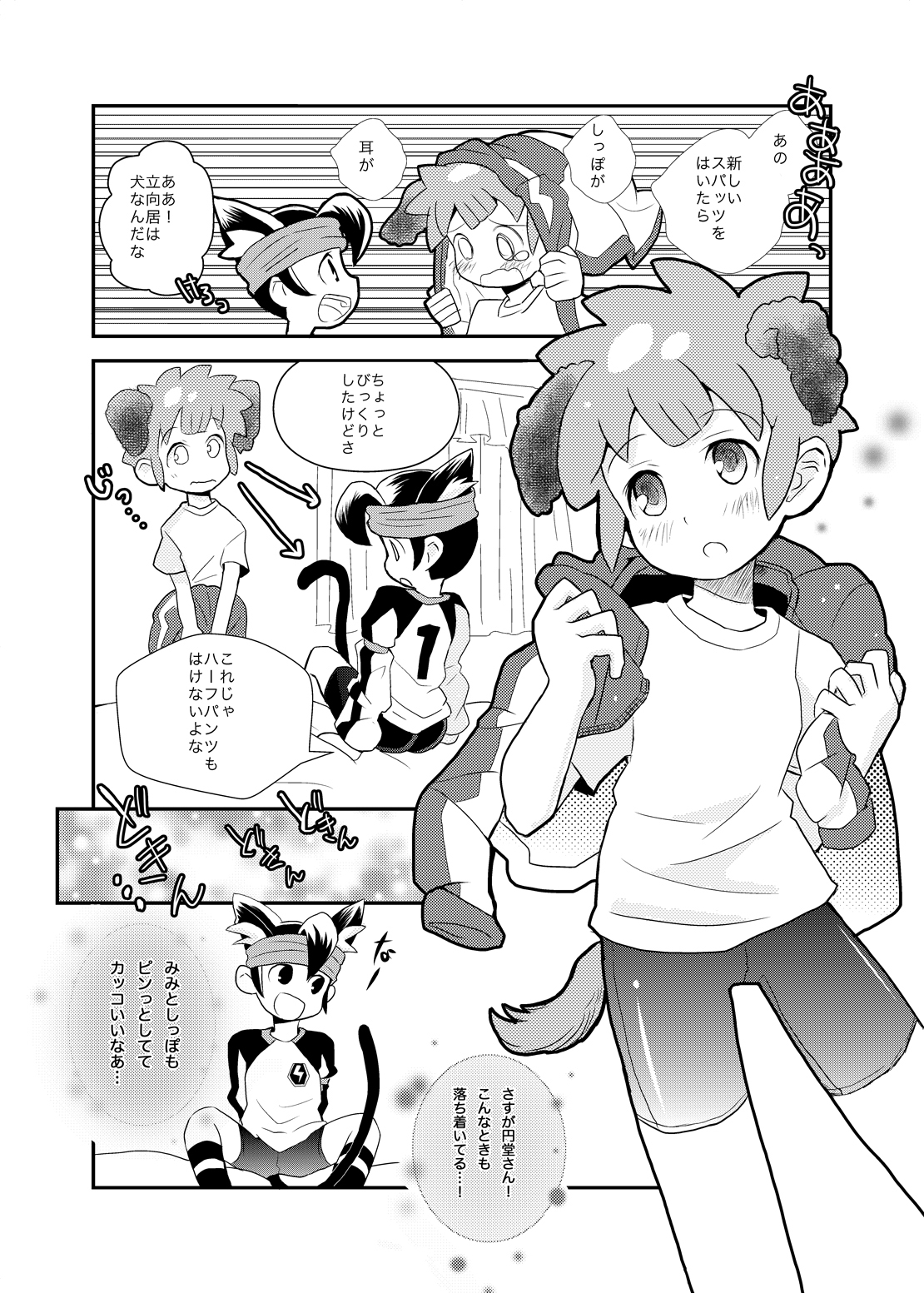 ふたりはハートキャッチャー（稲妻イレブンコレクション）