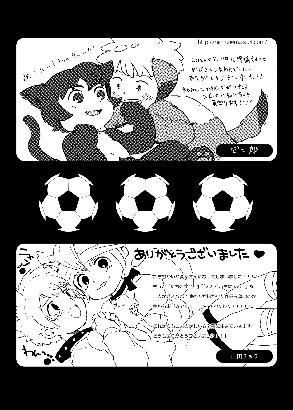 ふたりはハートキャッチャー（稲妻イレブンコレクション）