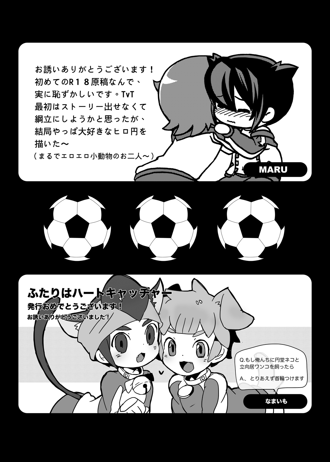 ふたりはハートキャッチャー（稲妻イレブンコレクション）