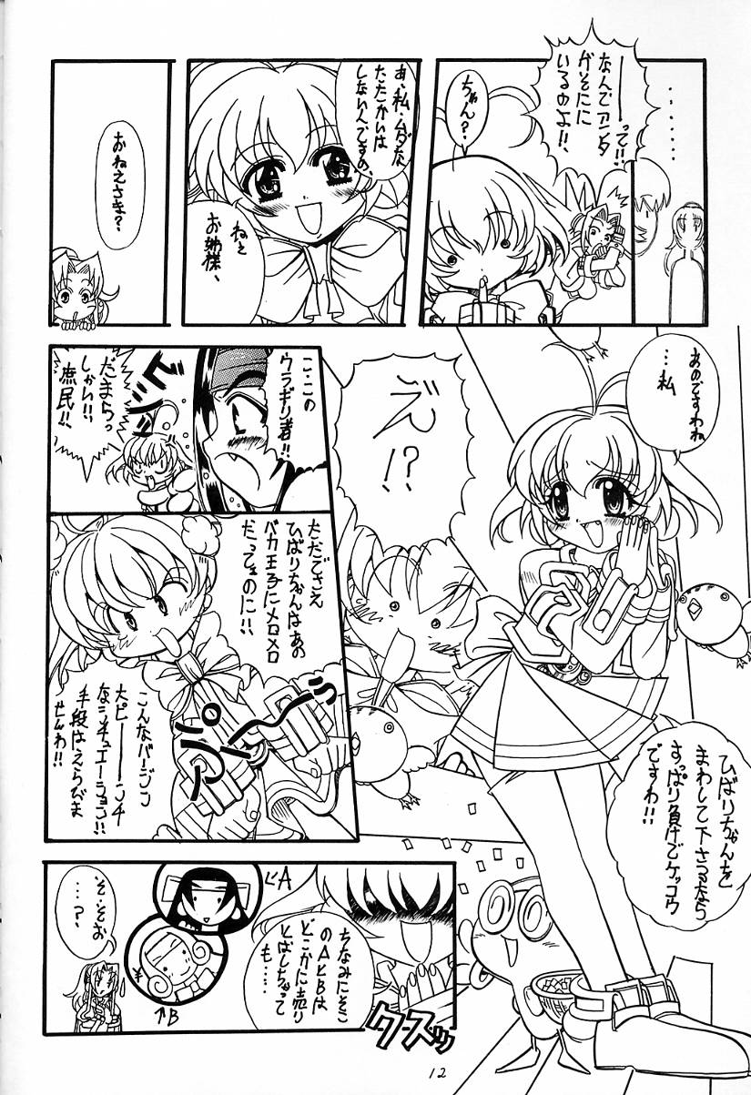 (C54) [姫倶楽部 (霧風)] 蕾 (アキハバラ電脳組)
