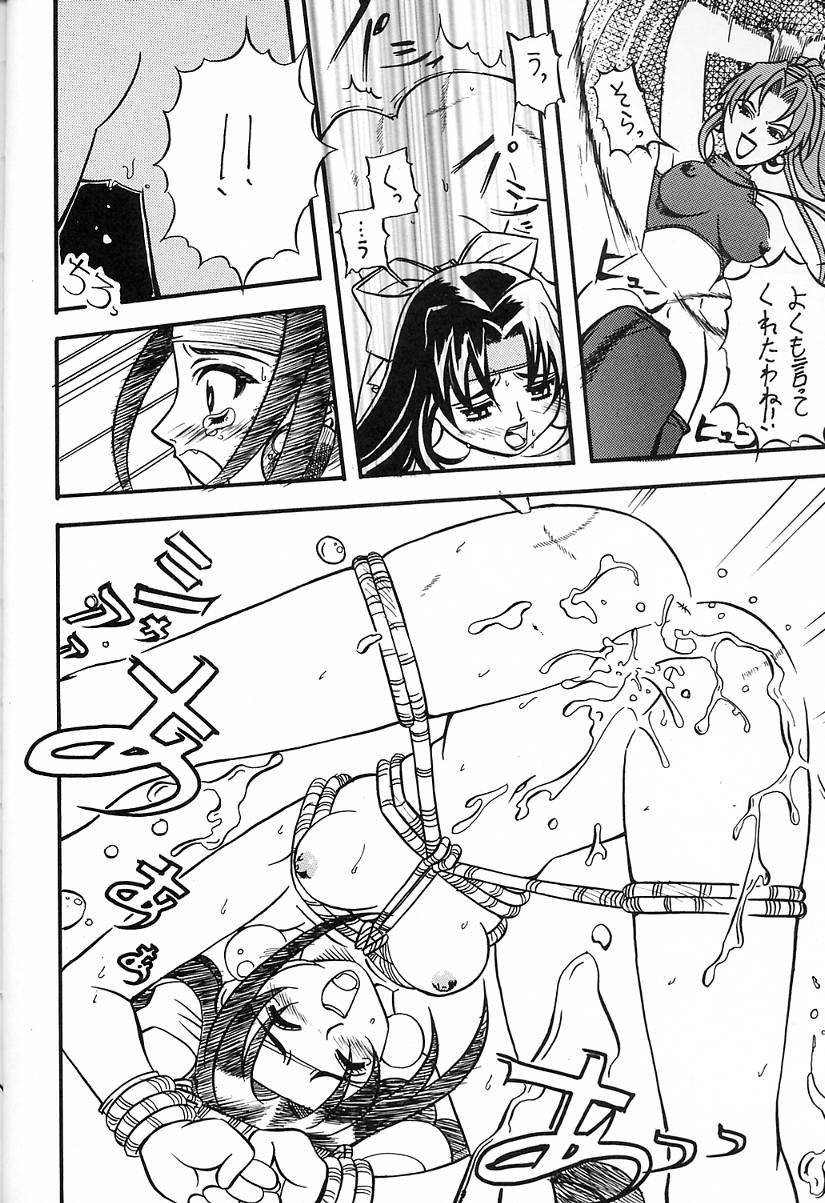 (C54) [姫倶楽部 (霧風)] 蕾 (アキハバラ電脳組)