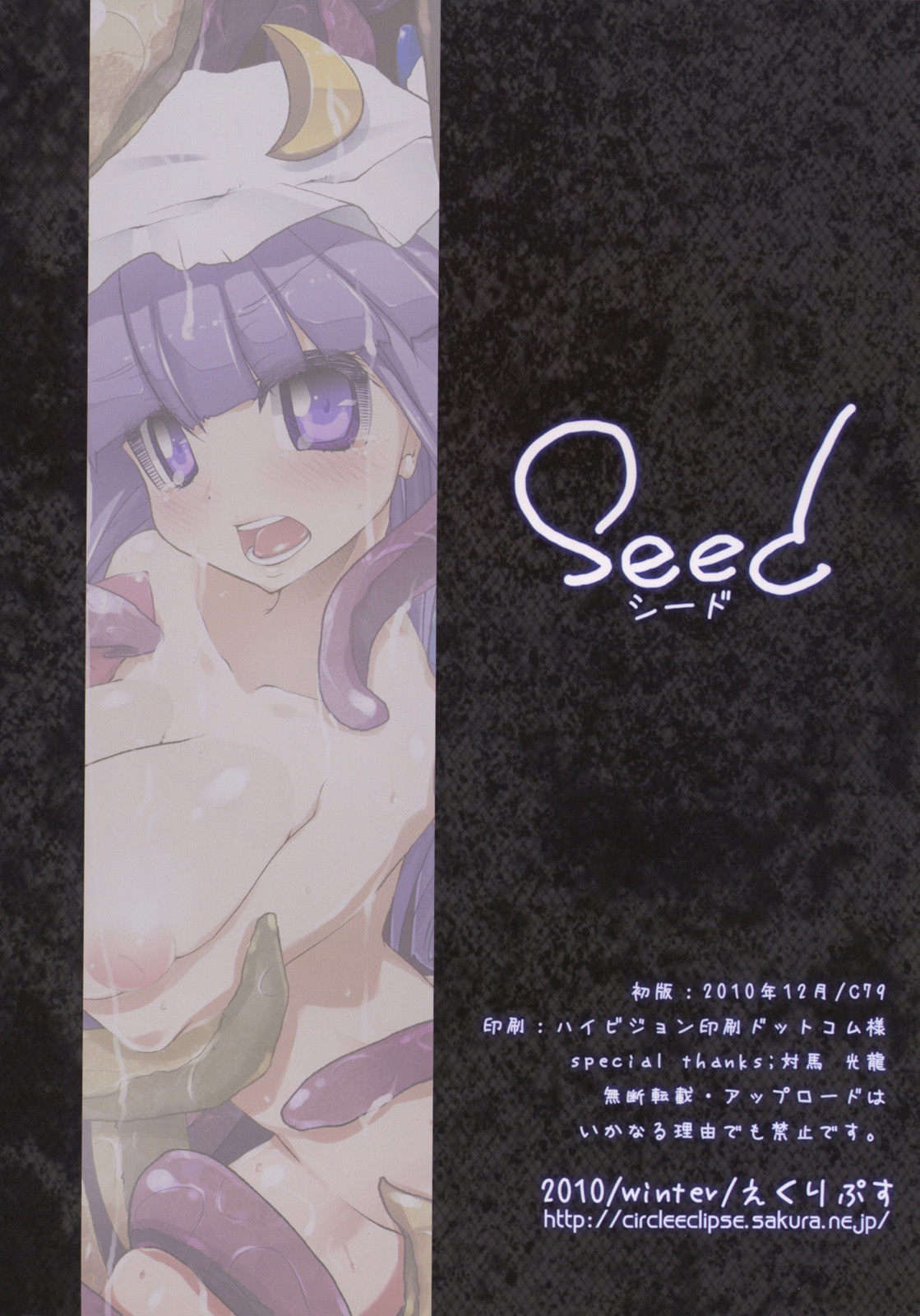 (C79) [えくりぷす (朧月)] seed (東方Project)