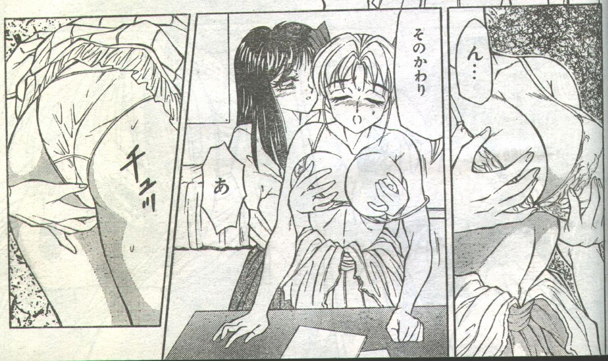 コットンコミック 1994年02月号 [不完全]