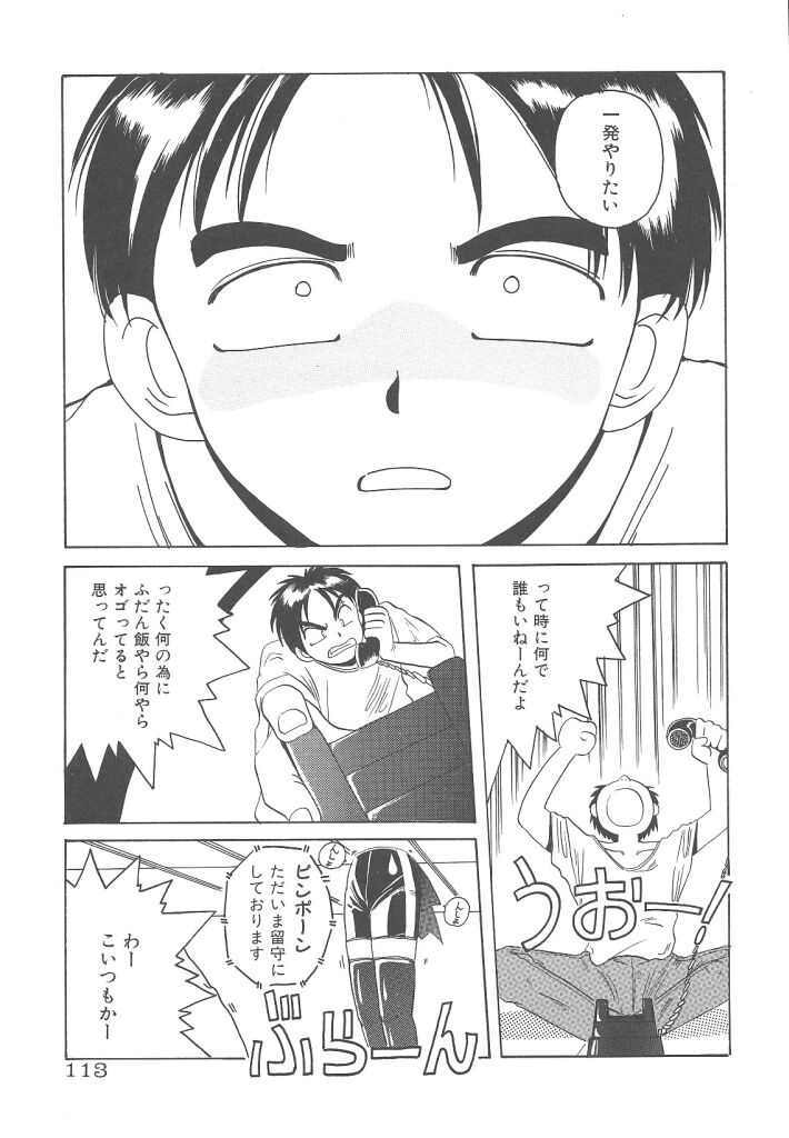 [平木直利] 魔法王女