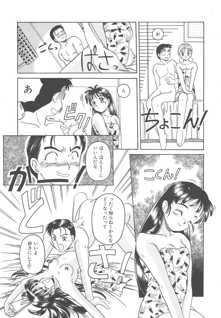 [平木直利] 魔法王女