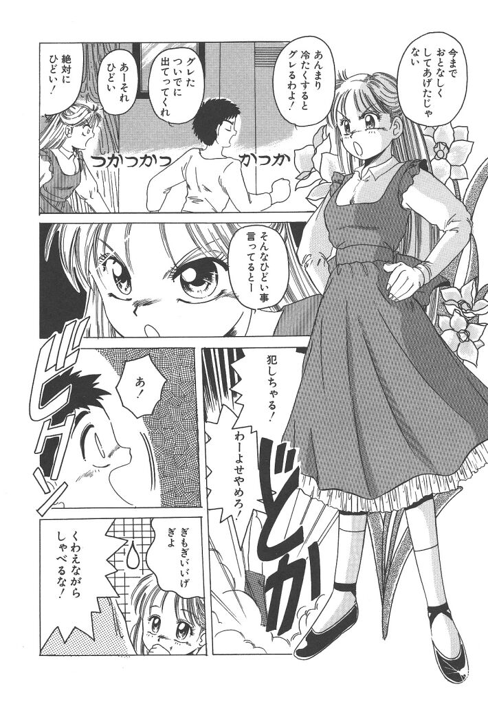 [平木直利] 魔法王女