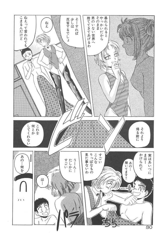 [平木直利] 魔法王女