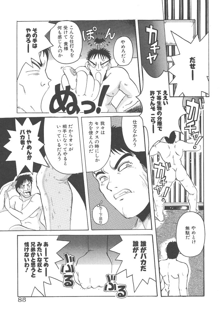 [平木直利] 魔法王女