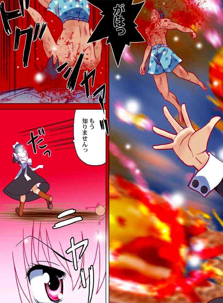 [ぷりんせす☆ぷろじぇくと。(にわとりこけぞう)] ゼロの種う魔 (ゼロの使い魔)