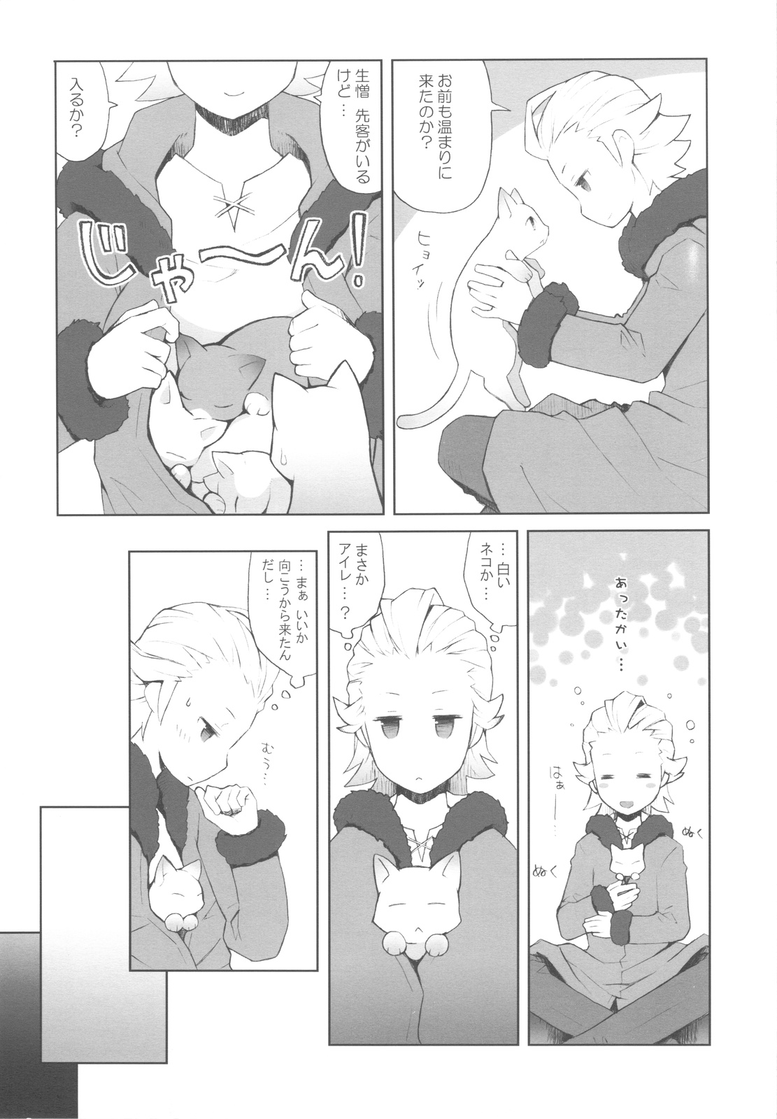 (COMIC1☆4) [ばくはつBRS. (B.たろう)] Cat Princess (FF外伝 光の4戦士)