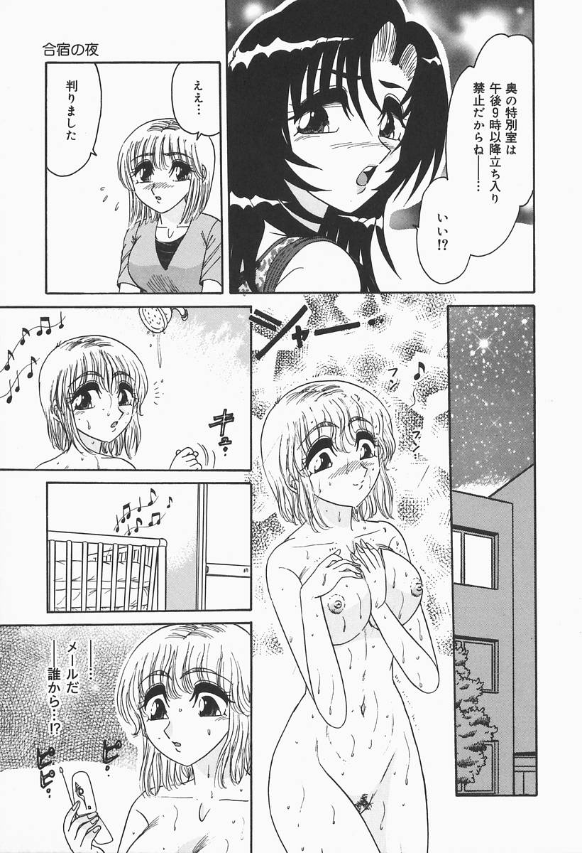 [春風サキ] ニンフォマニアック